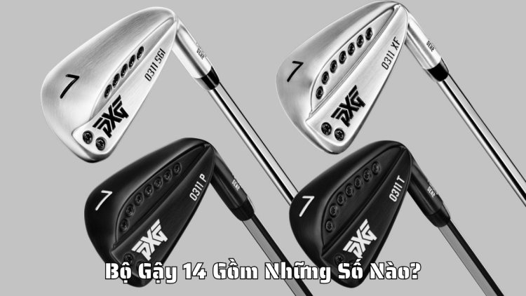 Bộ Gậy 14 Gồm Những Số Nào? Chi Tiết Từng Loại Gậy Cho Golfer